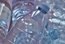 Report: plastic’s utility for bottling and packaging